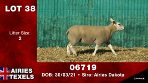 Lot #38 - Tag 06719