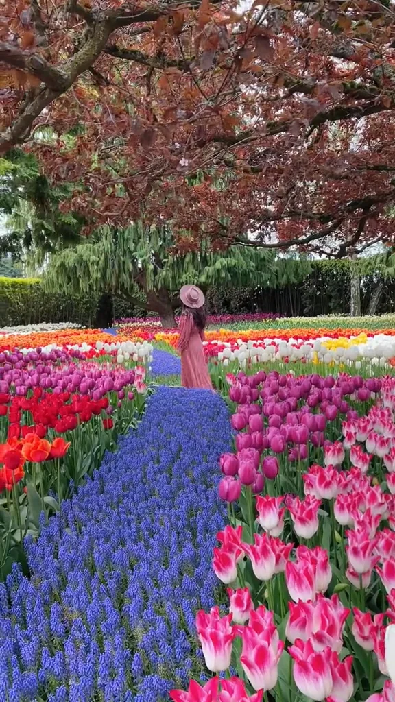 spring fairytale on Vimeo