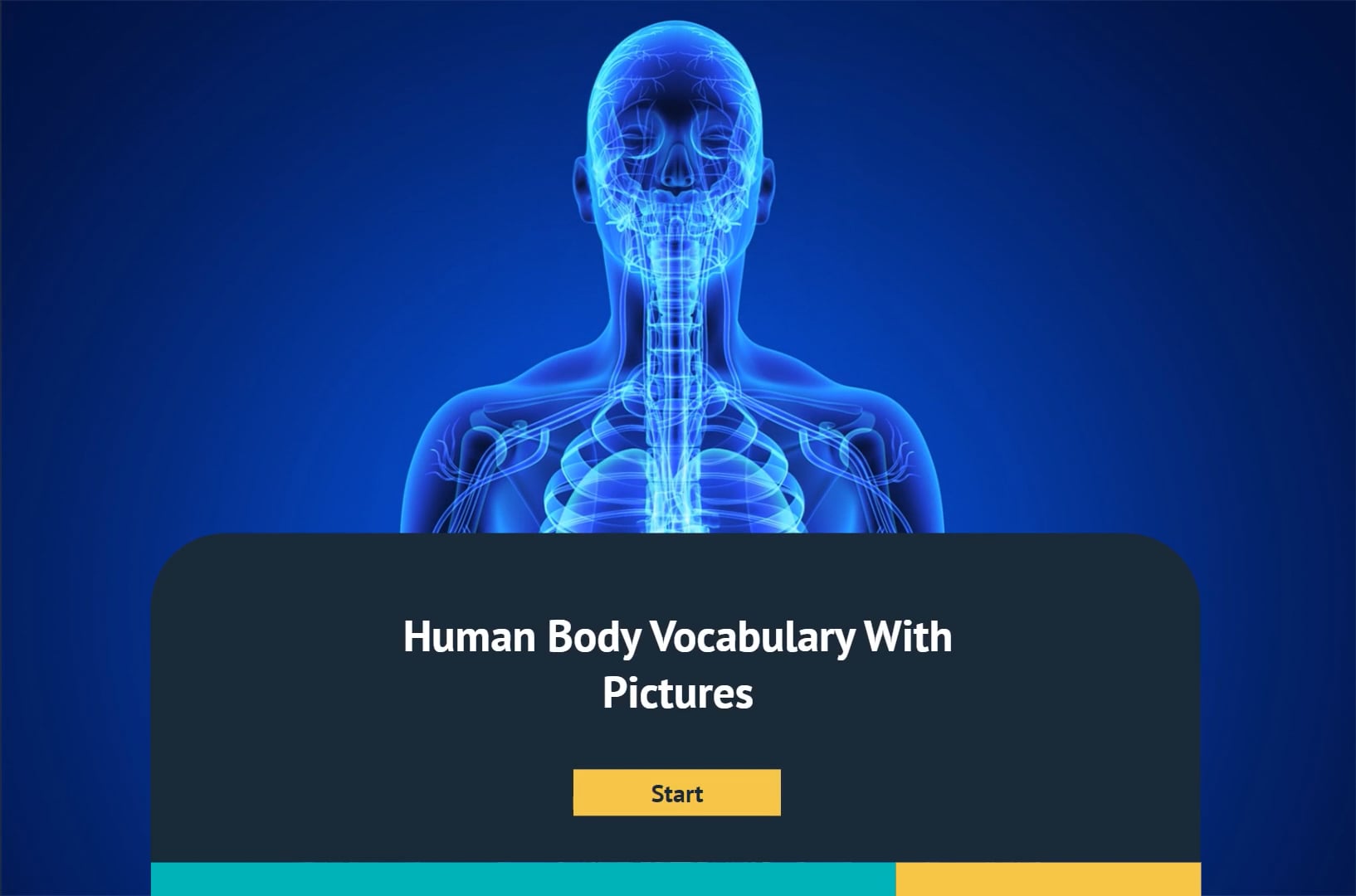 1-human-body-vocabulary-with-pictures-1-on-vimeo