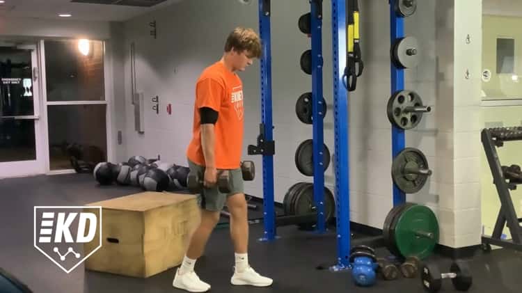 Dumbbell Split Stance RDL 1