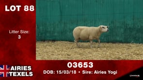 Lot #88 - Tag 03653