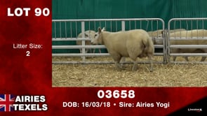 Lot #90 - Tag 03658
