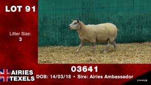 Lot #91 - Tag 03641