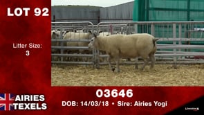 Lot #92 - Tag 03646