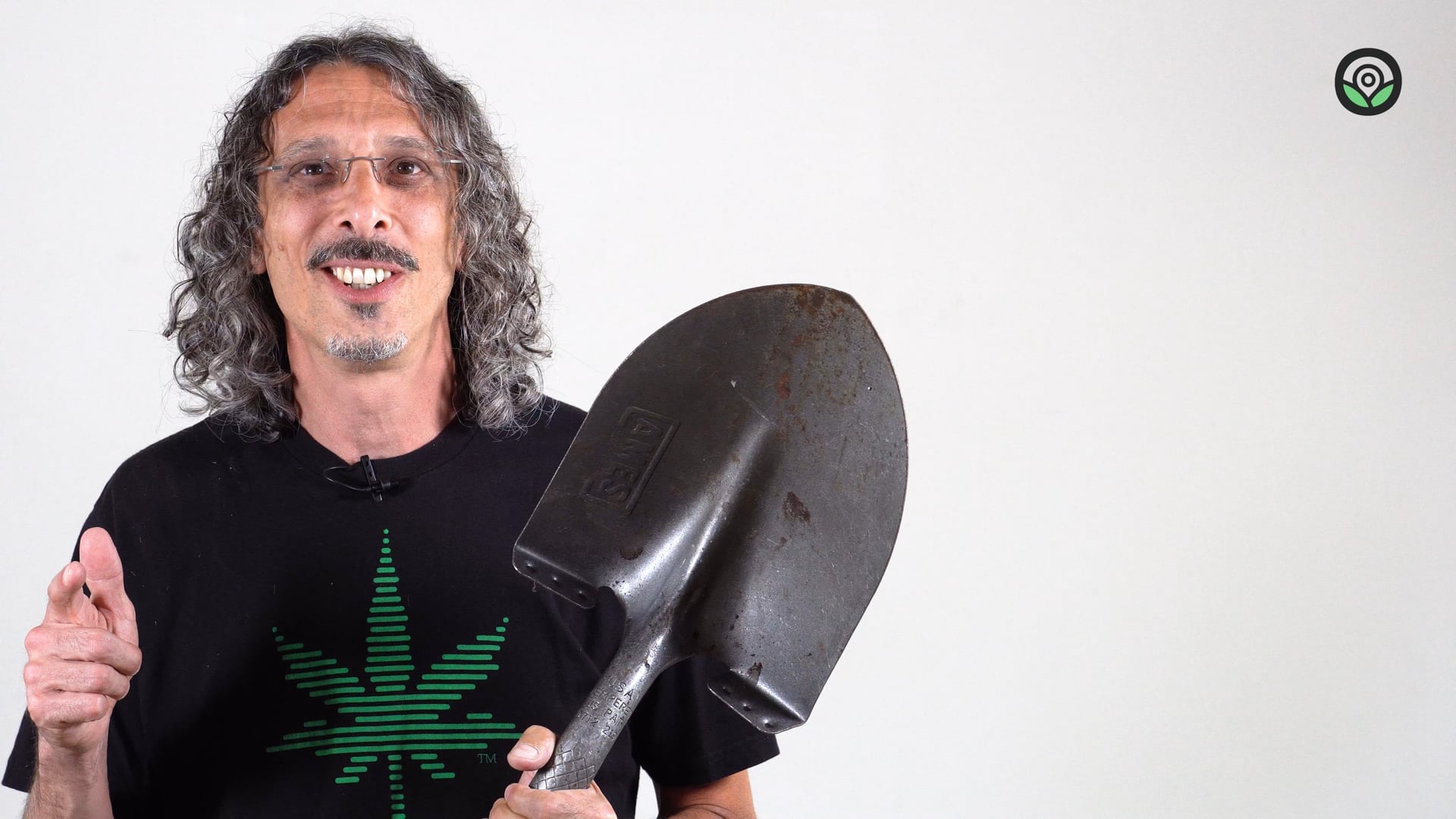 Green Crack Autoflower Cannabis Seeds