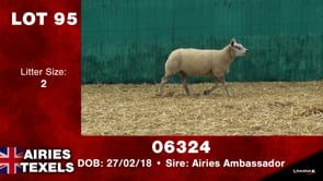 Lot #95 - Tag 06324