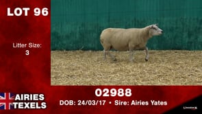 Lot #96 - Tag 02988