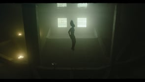 Related Embedded Video Item Thumbnail