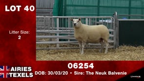Lot #40 - Tag 06254