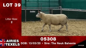 Lot #39 - Tag 05308