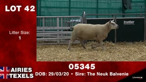 Lot #42 - Tag 05345