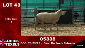 Lot #43 - Tag 05338