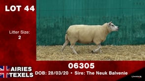 Lot #44 - Tag 06305