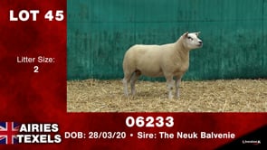 Lot #45 - Tag 06233