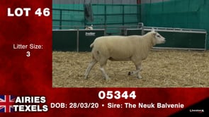 Lot #46 - Tag 05344