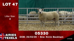 Lot #47 - Tag 05330