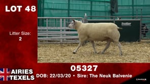 Lot #48 - Tag 05327