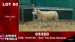 Lot #50 - Tag 05320