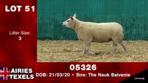 Lot #51 - Tag 05326