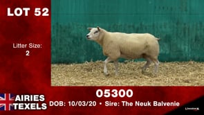 Lot #52 - Tag 05300