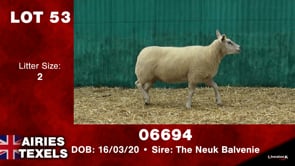 Lot #53 - Tag 06694
