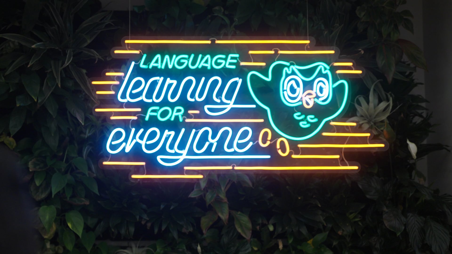 Duolingo Office and People Tour - 2022