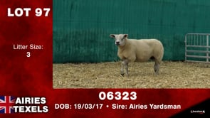 Lot #97 - Tag 06323