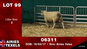 Lot #99 - Tag 06311