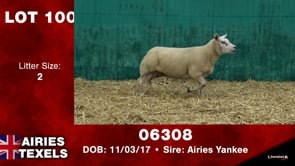Lot #100 - Tag 06308