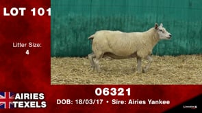 Lot #101 - Tag 06321