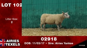 Lot #102 - Tag 02918