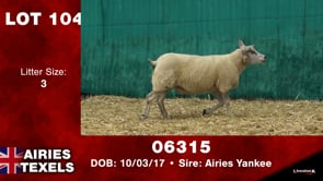 Lot #104 - Tag 06938