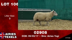 Lot #106 - Tag 02908