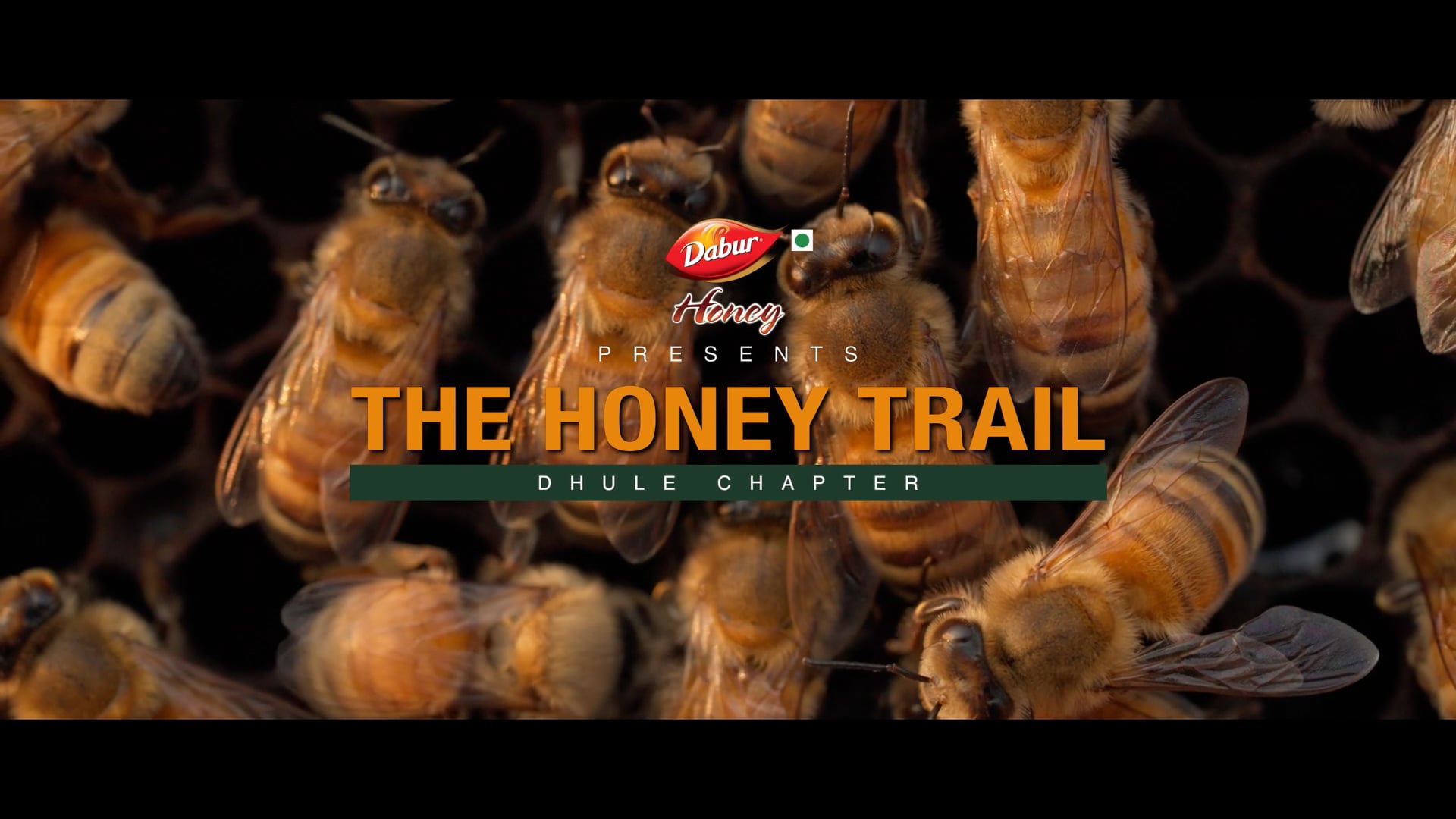 Dabur Honey | The Honey Trail: Dhule Chapter (Women's Day Campaign) | Director's Cut