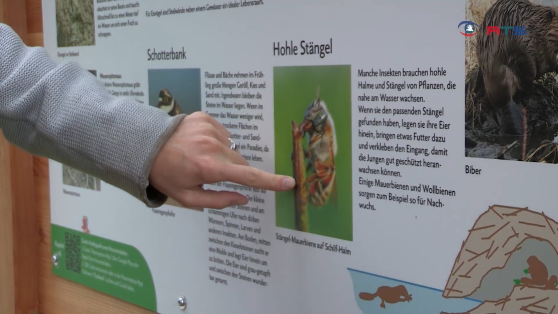 neuer-lehrpfad-zur-renaturierung-der-fischach-eroeffnet