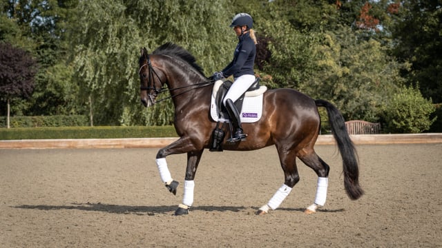 Different Types of Canter with Carl Hester
