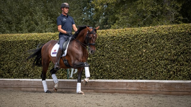 Different Types of Trot with Carl Hester