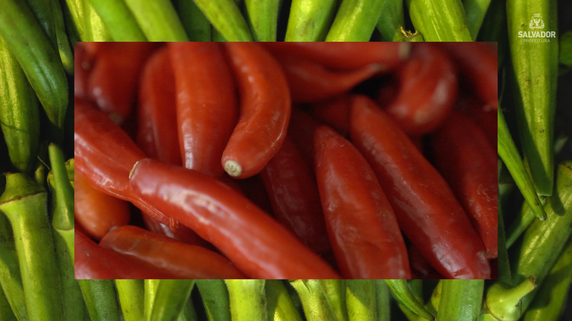 Caruru - Prefeitura de Salvador