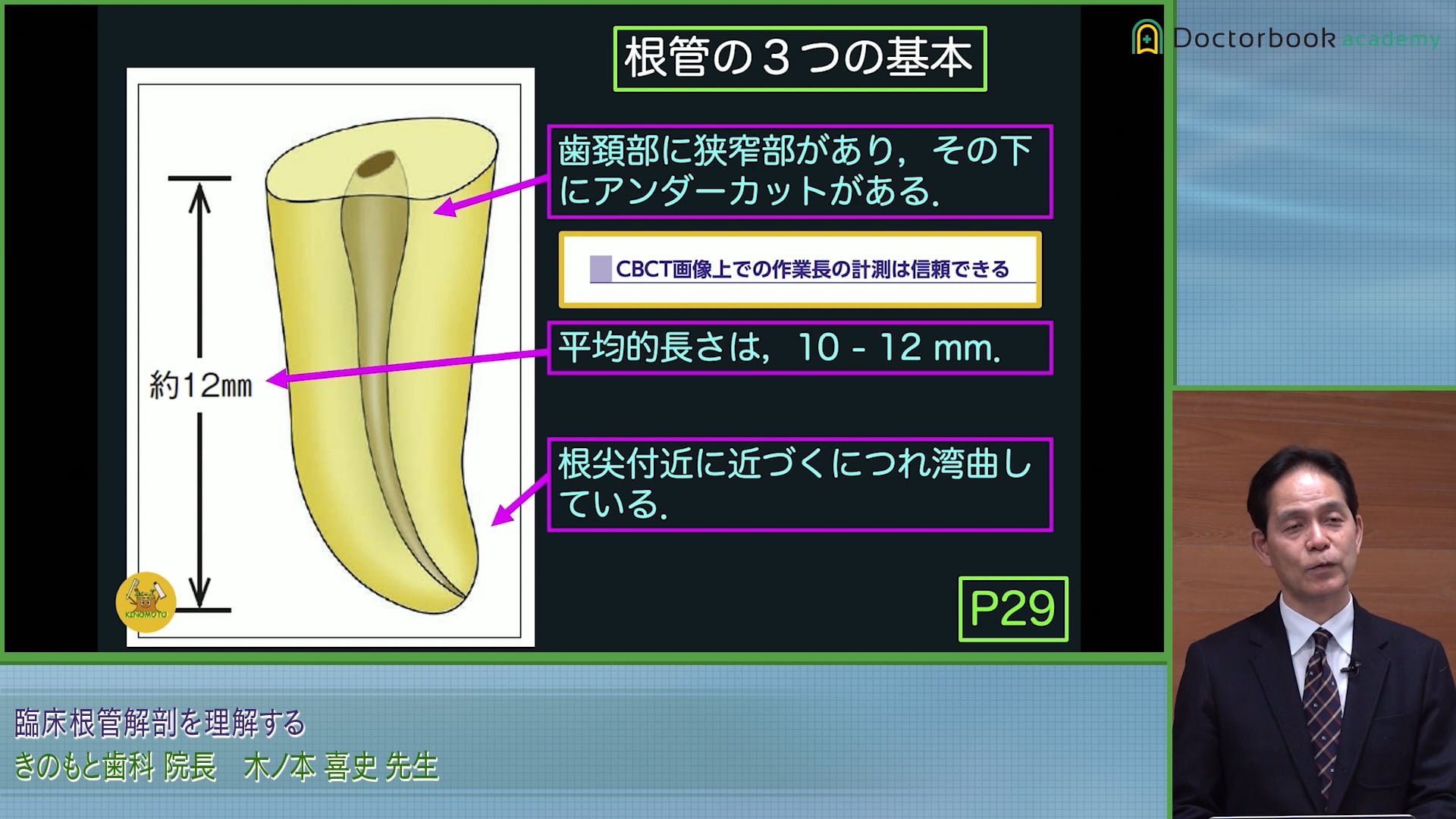 根管の３つの基本│根管治療に必要な解剖の知識とCBCT画像 #1