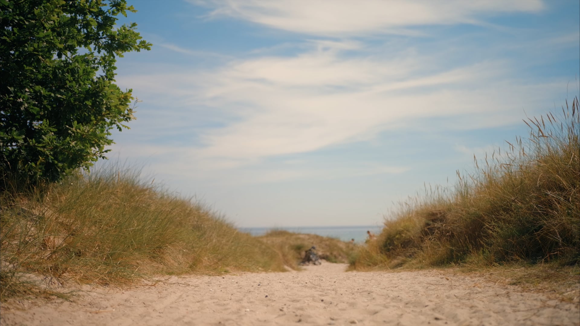 Dulens-test