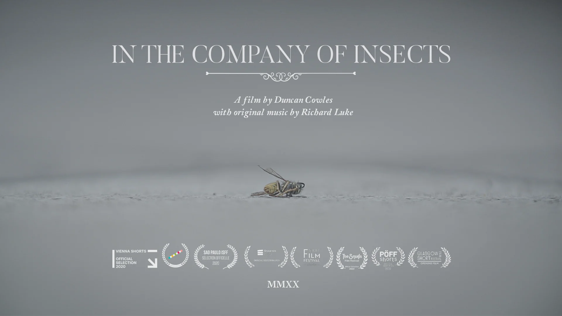 In the Company of Insects (2020)