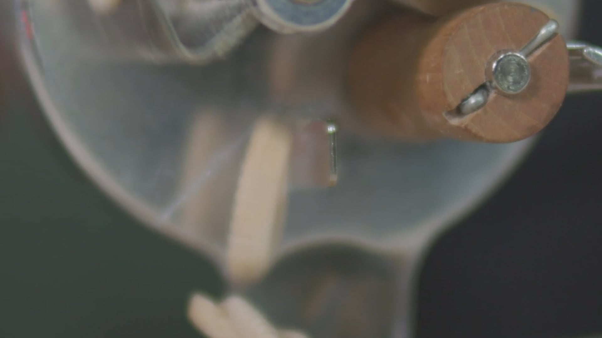 Homemade Pasta at The Osprey, 1 Hotel Brooklyn Bridge