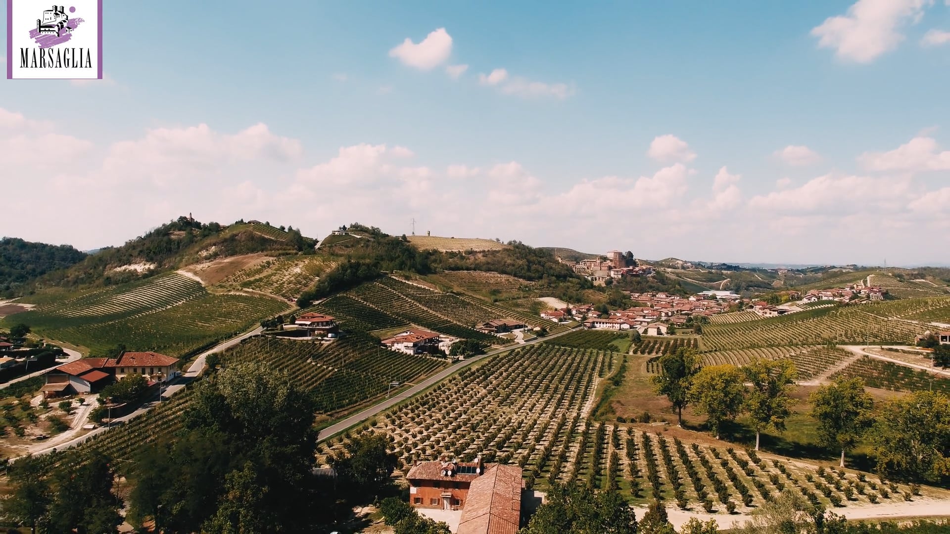 Vendemmia Roero Arneis 2022 | Roero Arneis 2022 harvest