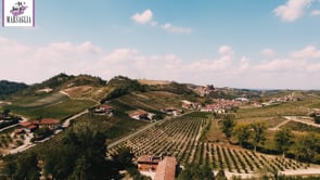 La vendemmia del Roero Arneis 2022