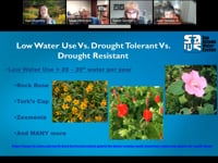 Your Questions and Our Answers on Plants & Drought