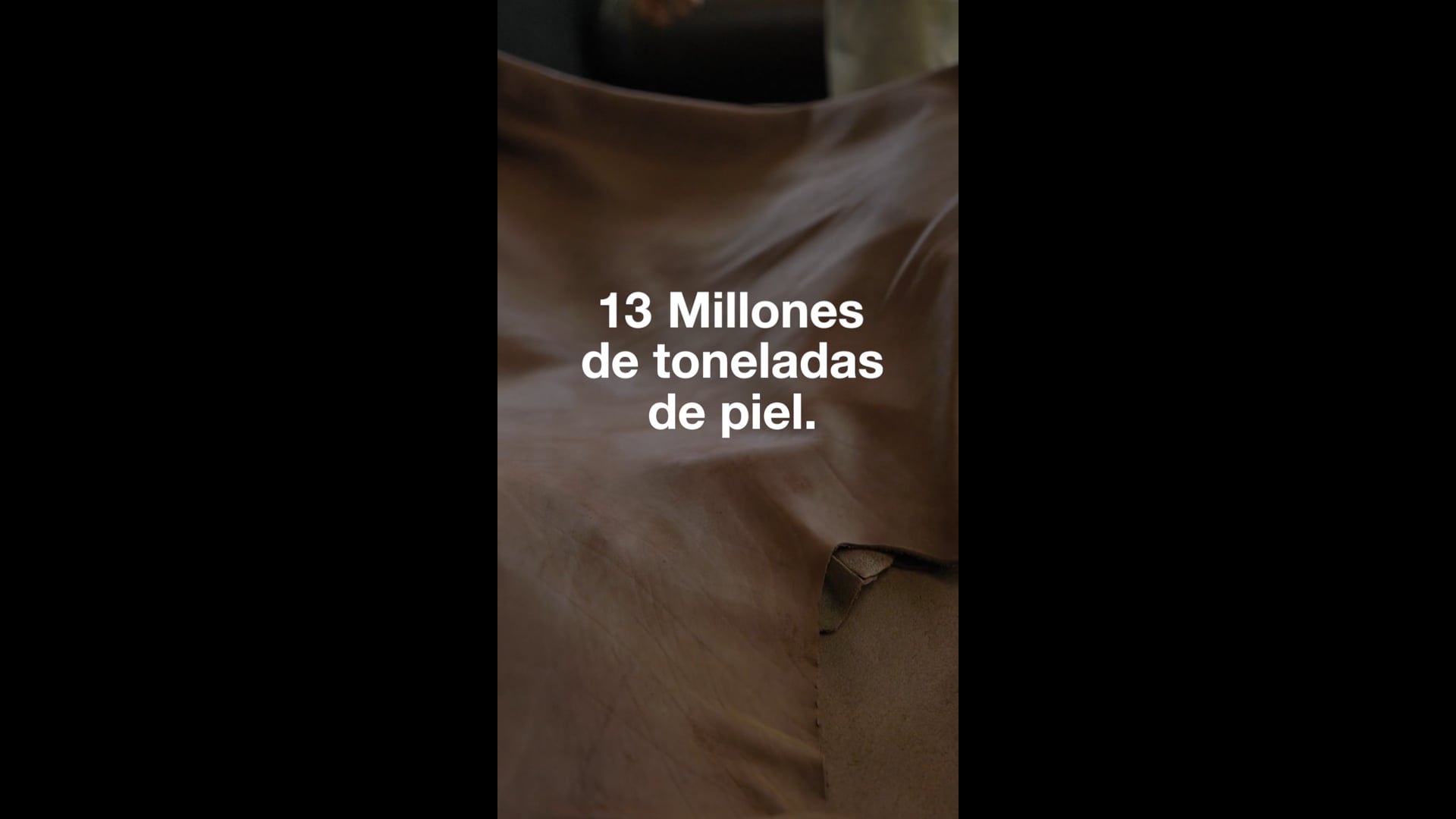 Porfirio - Economía Circular Pt. 1