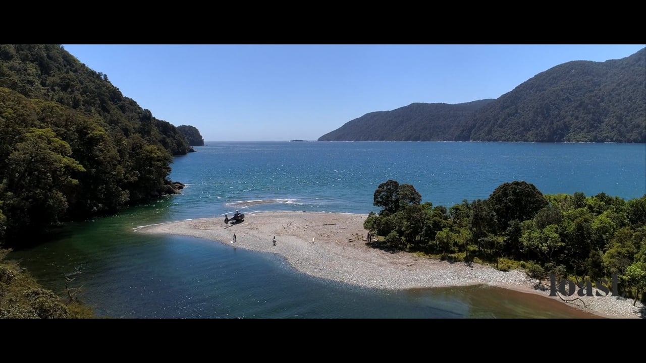 Poison Bay