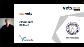 Enteropatía crónica e hiperadrenocorticismo iatrogénico - Caso Billie