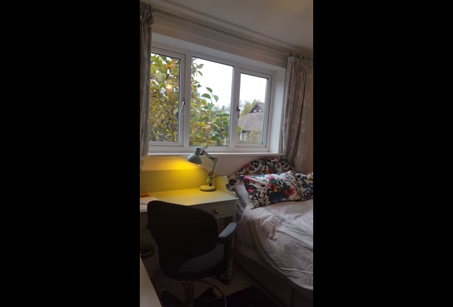 Warm sunny double room available December 28th Main Photo