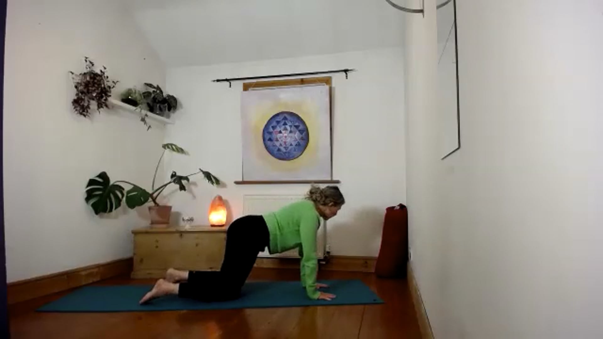 Multilevel wk3 Time to Thrive.mov